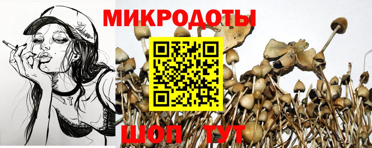 Галлюциногенные грибы MAGIC MUSHROOMS  Вход с VPN  Кандалакша 