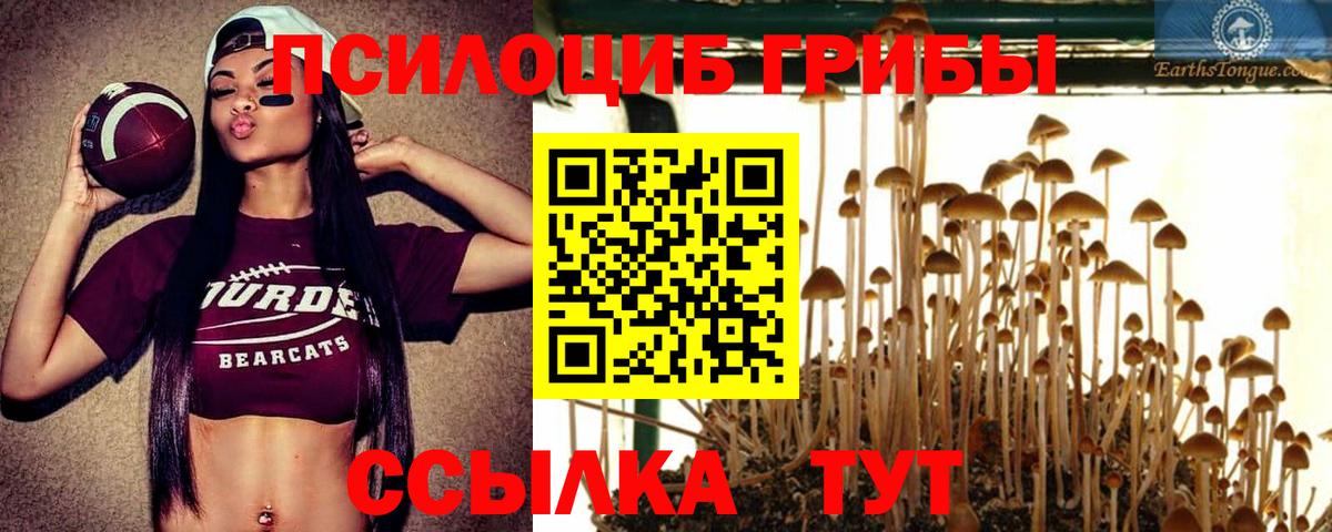 Галлюциногенные грибы Magic Shrooms Кандалакша